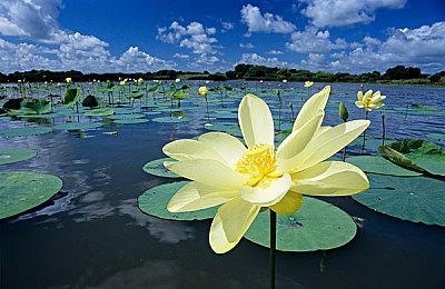 《零秒》Steam试玩版上线：Roguelike 动作游戏开启时空冒险