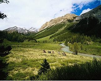 《游戏王：大师决斗》商店界面演示 花费宝石购买卡包